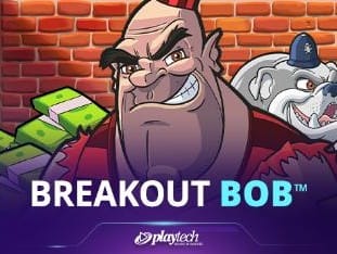 Breakout Bob game icon